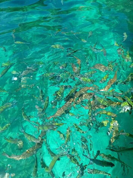 Phi Phi Islands: Private Longtail Boat 6-hour Trip - Frequently Asked Questions