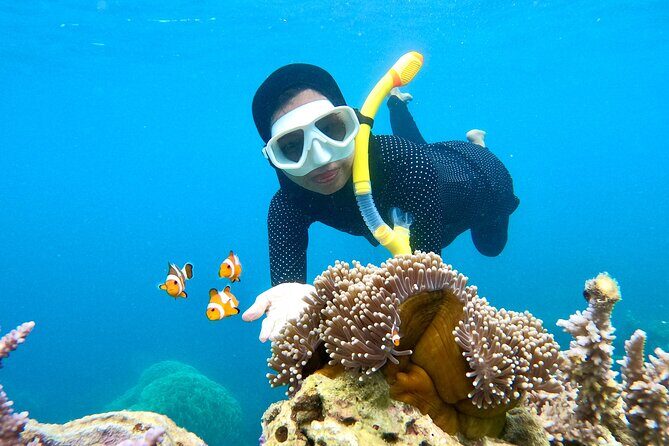 Phi Phi Islands Sightseeing Tour by Speedboat with Buffet Lunch - Group Size & Guides