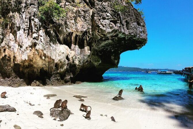 Phi Phi Islands Speedboat Tour Adventure from Krabi - Who This Tour is Best For