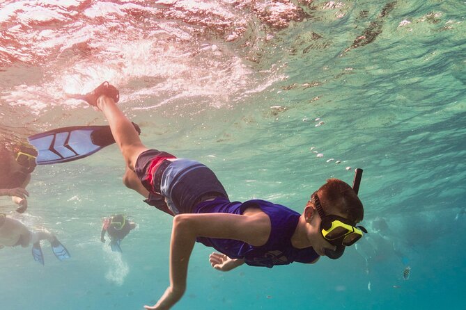 Phi Phi Islands Tour With Bioluminescent Planktons From Krabi - The Sum Up