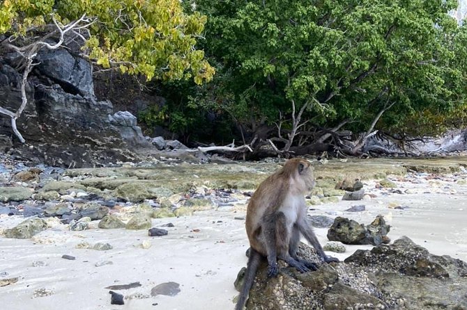 Phi Phi Khai Island Tour By Speed Boat - Khai Island Adventure