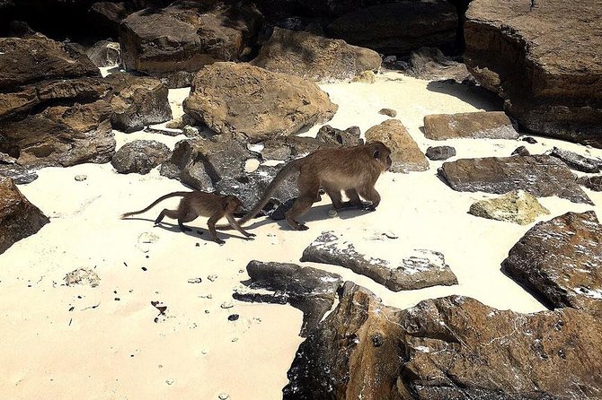 Phi Phi, Maiton, Khai Island Sunset Romantic Trip By Phuket Seahorse Marine - What to Bring