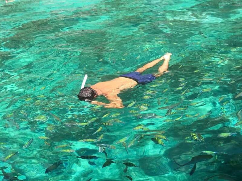 Phi Phi: Private 7 Islands Longtail to Maya Bay and Bamboo - The Highlights of the Tour