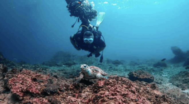 Phi Phi: Scuba Diving With Portuguese Speaking Instructor - Essential Items to Bring