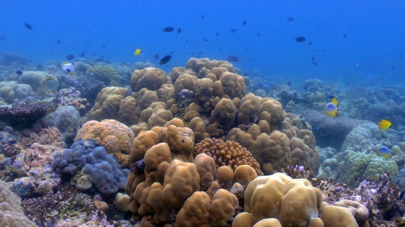 Phi Phi Sunrise Small Group Speedboat Tour by Simba Sea Trips - Is the higher price worth it?