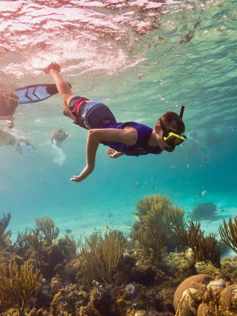 Phi Phi Sunset & Bioluminescent Tour by Speedboat - Booking Details