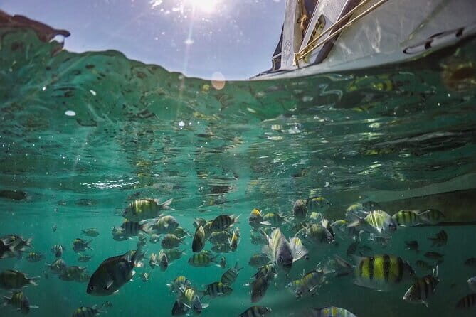 Phi Phi with Maya and Bamboo Island Day Trip by Speedboat - FAQ