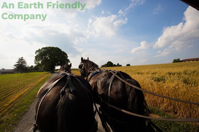 Philadelphia and Amish Country Day Trip From New York City - Tour Details and Itinerary