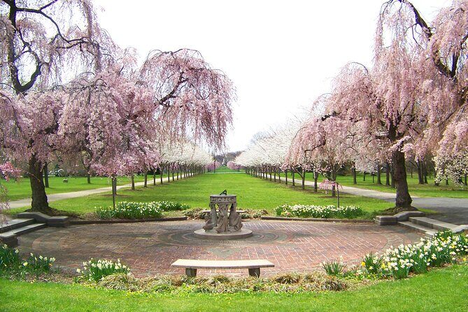 Philadelphia Cherry Blossom 1-Day Tour from New York - Good To Know