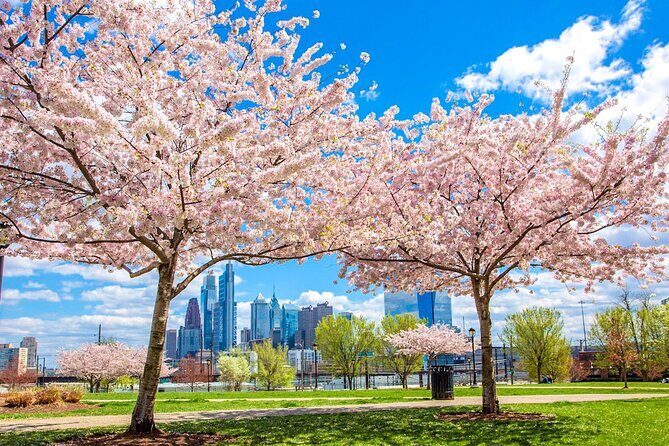 Philadelphia Cherry Blossom 1-Day Tour from New York - Who Will Enjoy This Tour?