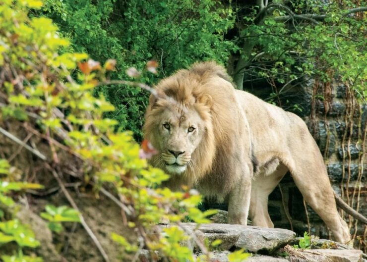 Philadelphia: Philadelphia Zoo Entry Ticket - Ticket Details