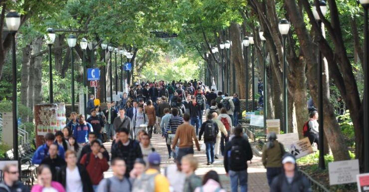 Philadelphia: UPenn Campus Walking Tour & Museum Ticket - Activity Details