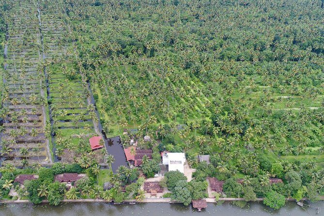 Philipkutty's Farm Culinary Tour including Lunch and Cooking Demo - The Sum Up
