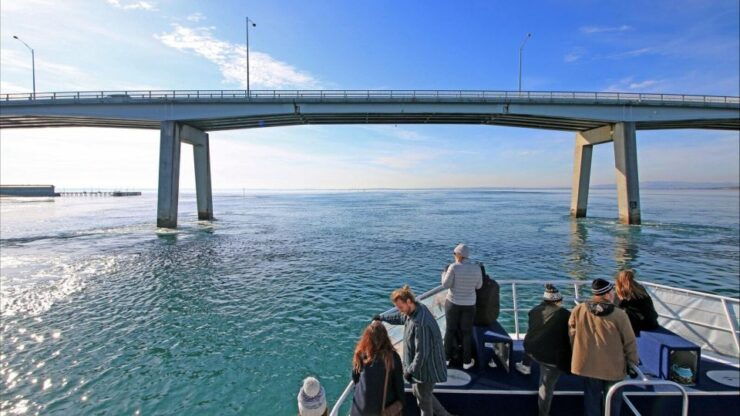 Phillip Island: 1-Hour Cape Woolamai Scenic Cruise - Activity Details