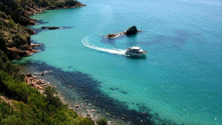 Phillip Island: 1-Hour Cape Woolamai Scenic Cruise - Experience Highlights