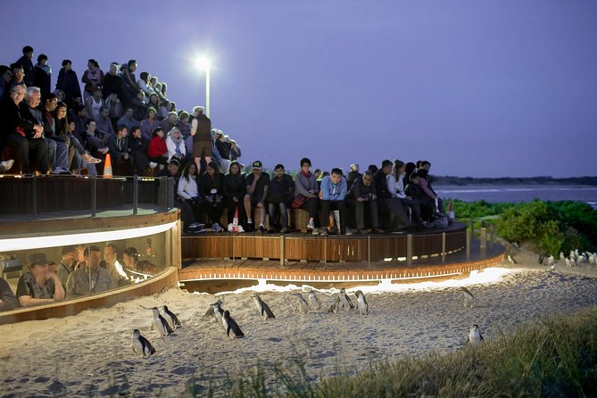 Phillip Island Day Trip From Melbourne With Penguin Plus Viewing Platform - Group Size and Bus Ride