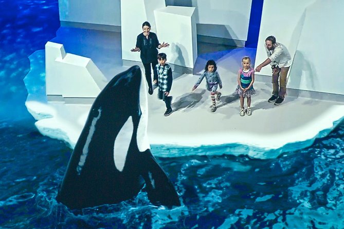 Phillip Island Day Trip From Melbourne With Penguin Plus Viewing Platform - Directions