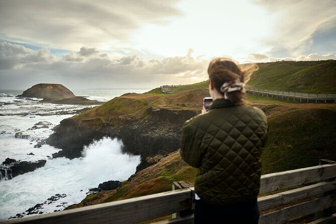 Phillip Island Direct Tour Penguin Parade and Coastal Views - The Sum Up