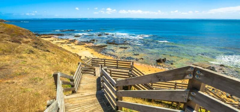Phillip Island Driving Tour with an APP - Is the Price Worth It?