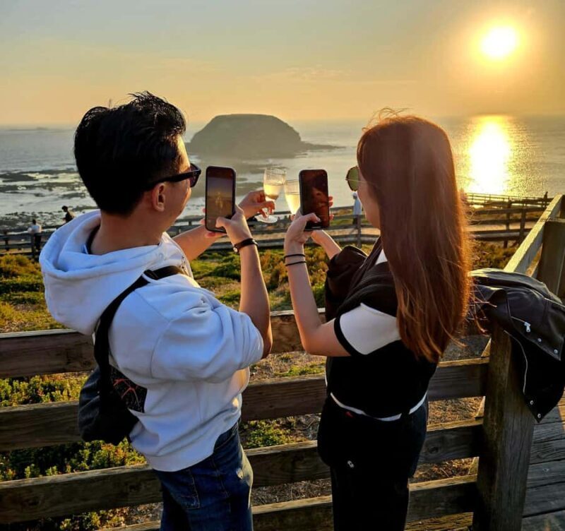 Phillip Island: Golden Hour Penguin Express Tour - Good To Know