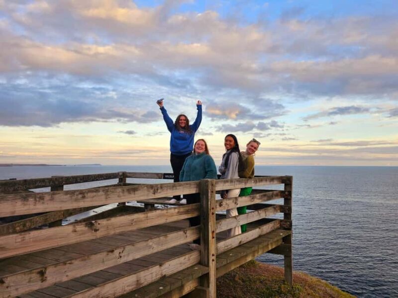 Phillip Island: Golden Hour Penguin Express Tour - What You Can Expect from the Tour