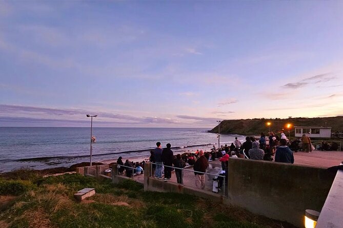 Phillip Island Golden Hour Penguin Express With Island Pickups - Help Center