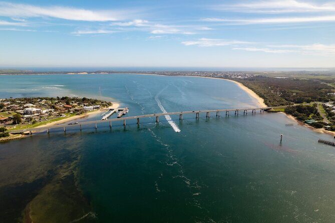 Phillip Island Hop on Hop off Bus - The Experience from Reviews and Practical Insights