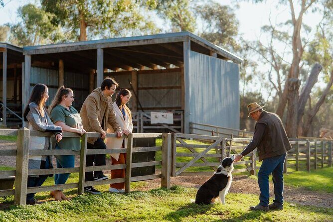 Phillip Island Hop on Hop off Bus - Who Will Love This Tour?