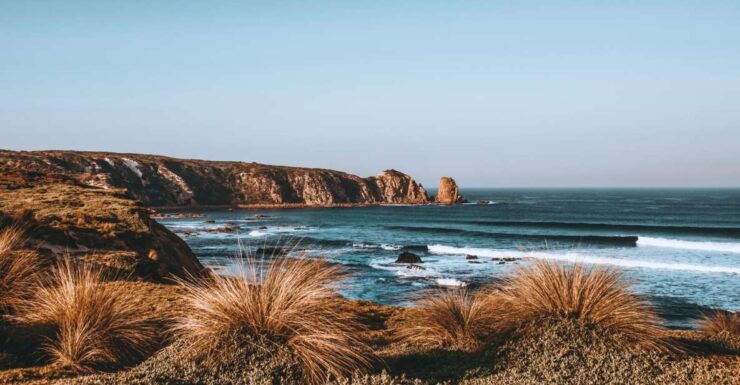 Phillip Island: Nature Hike and Penguin Parade With Guide - Experience Highlights
