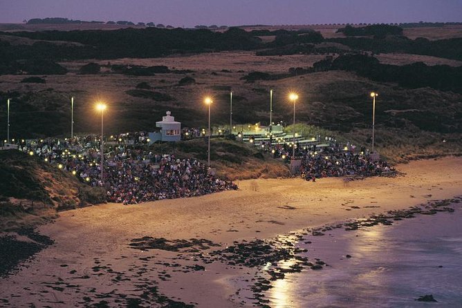 Phillip Island Penguin and Koala Highlights Day-Trip From Melbourne - Overall Impressions