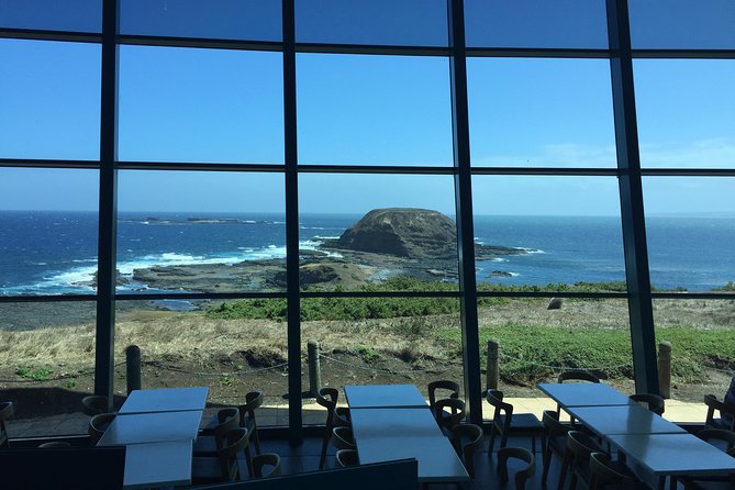 Phillip Island Penguin and Koala Highlights Day-Trip From Melbourne - The Sum Up