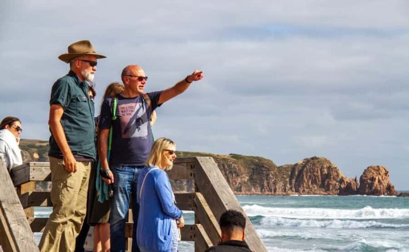 Phillip Island Penguin Parade Afternoon Tour from Melbourne - Pricing & Experience Worth
