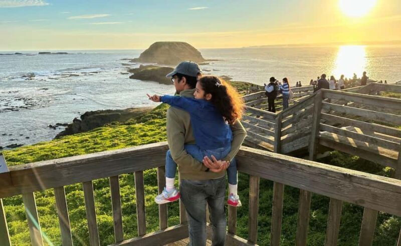 Phillip Island Penguin Parade Afternoon Tour from Melbourne - FAQ