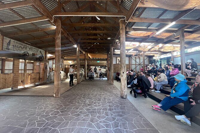 Phillip Island Penguin Parade and Churchill Island Farm Bus Tour - Who Will Love This Tour?