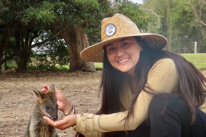 Phillip Island Penguin Parade and Wildlife Tour from Melbourne - The Practicalities: What You Need to Know