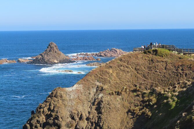 Phillip Island Penguin Parade and Wildlife Tour from Melbourne - Authentic Insights from Past Travelers