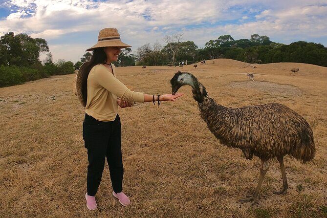 Phillip Island Penguin Parade and Wildlife Tour from Melbourne - Who Will Love This Tour?