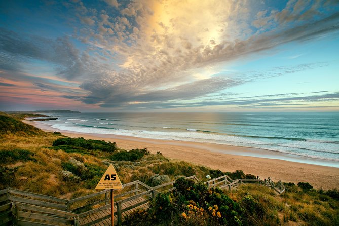 Phillip Island Penguin Parade Day Trip With Koala Conservation Reserve Visit - Pricing and Guarantee