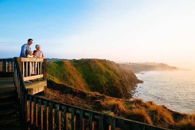 Phillip Island Penguin Parade Day Trip With Koala Conservation Reserve Visit - Positive Reviews and Memorable Experience