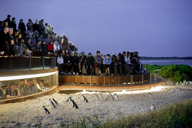 Phillip Island Penguin Parade Express Tour From Melbourne - Tour Overview and Highlights