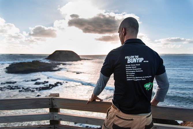 Phillip Island Penguin Parade Express Tour From Melbourne - Negative Reviews