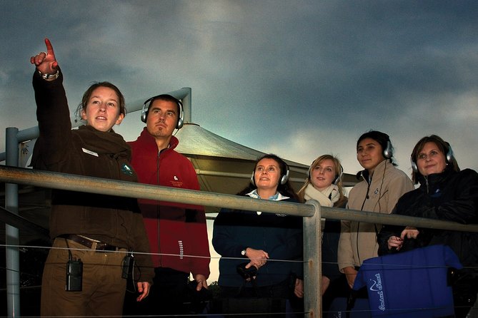 Phillip Island Penguin Parade Express Tour From Melbourne - The Sum Up