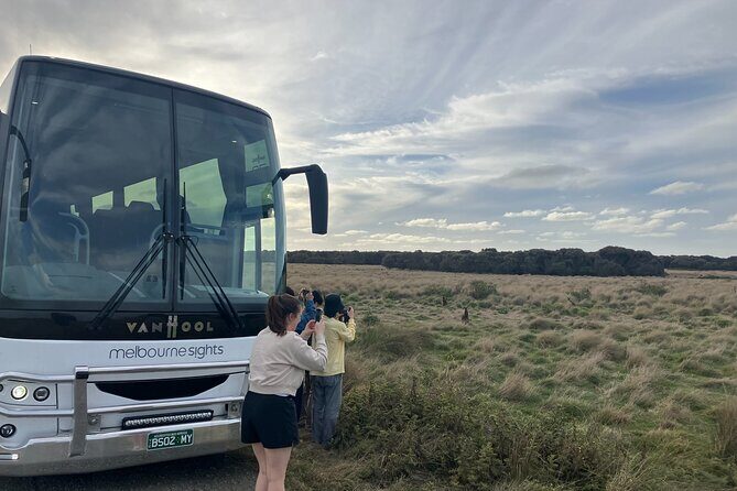Phillip Island Penguin Parade Express Tour from Melbourne - The Summerlands Lookout: Scenic Views and Wildlife Opportunities
