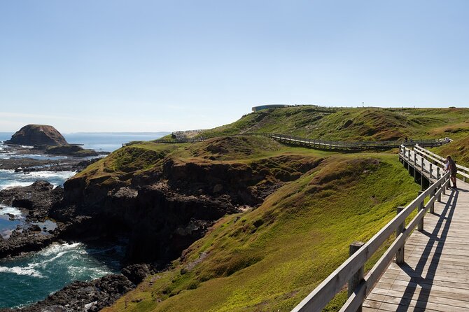 Phillip Island Penguin Parade Express Tour From Melbourne - Reviews and Ratings