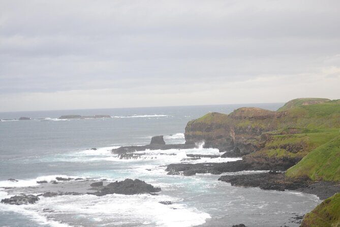 Phillip Island Penguin Parade Private Tour - A Closer Look at the Phillip Island Penguin Parade Private Tour