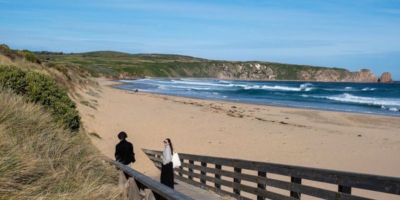 Phillip Island Penguin Parade & Wildlife Day Tour from Melbourne - The Penguin Parade: the payoff, with a dose of patience