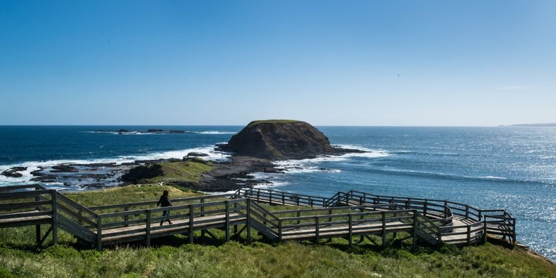 Phillip Island Penguin Parade & Wildlife Day Tour from Melbourne - Who should book this Phillip Island day trip?