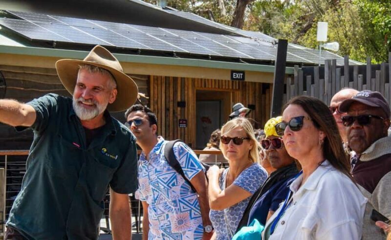 Phillip Island Penguin Parade with Expert Local Guide - Transportation and Comfort