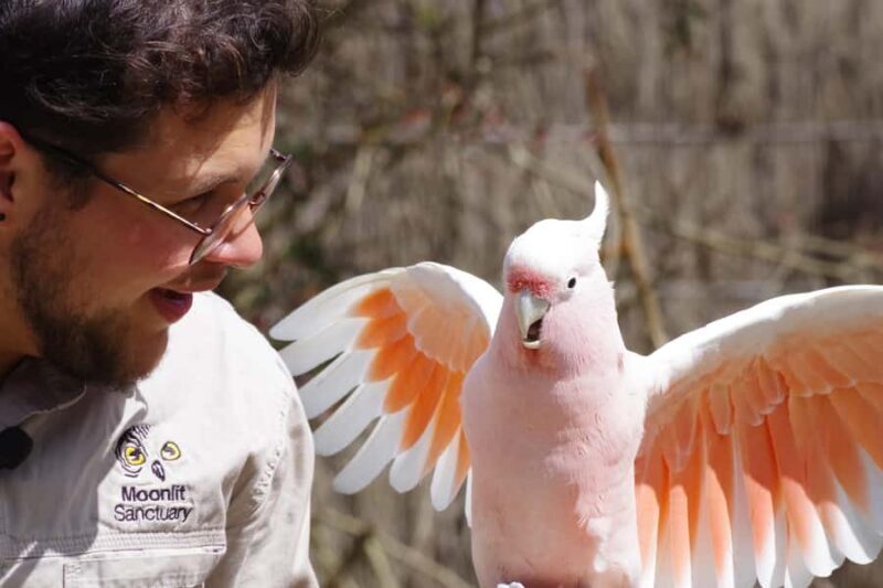 Phillip Island Penguin Parade with Expert Local Guide - Final Thoughts