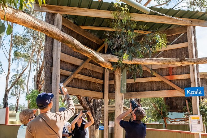 Phillip Island, Penguins, Koalas & Wildlife Tour - From Melbourne - Accessibility and Special Assistance